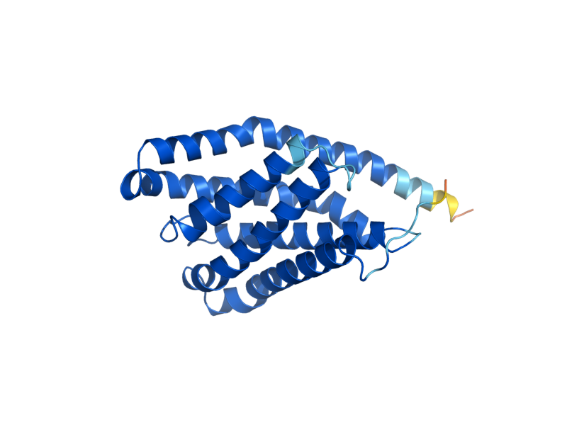 AlphaFold predicted structure of PHS1