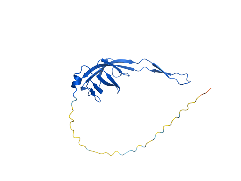 AlphaFold predicted structure of MRPL49
