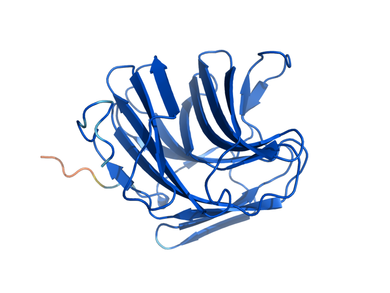 AlphaFold predicted structure of REE1