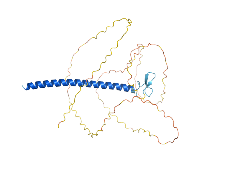 AlphaFold predicted structure of CIN5