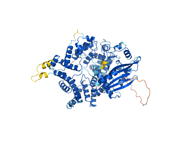 AlphaFold predicted structure of CHS6