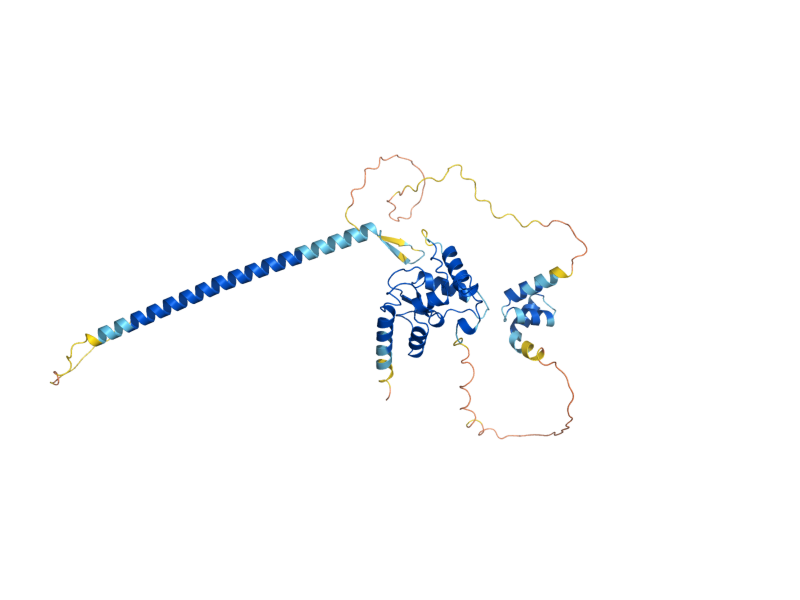 AlphaFold predicted structure of GTS1