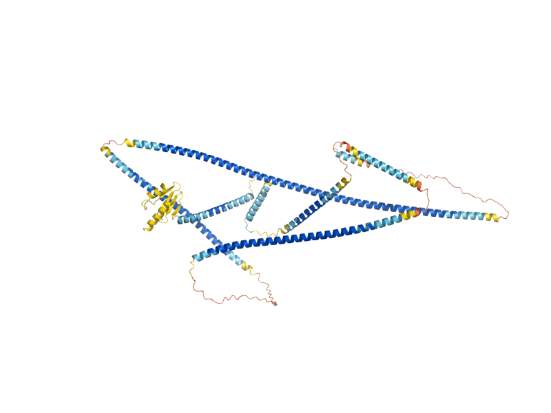 AlphaFold predicted structure of MAD1