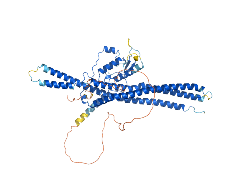 AlphaFold predicted structure of MVP1