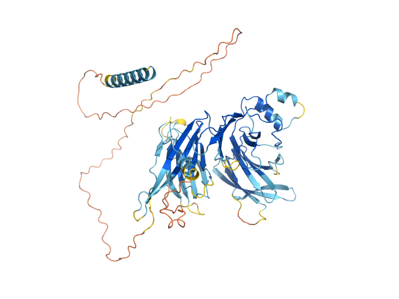AlphaFold predicted structure of PAC11