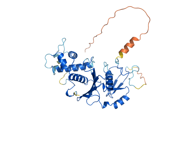 AlphaFold predicted structure of SAS2
