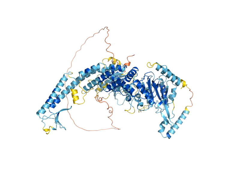 AlphaFold predicted structure of MSH4
