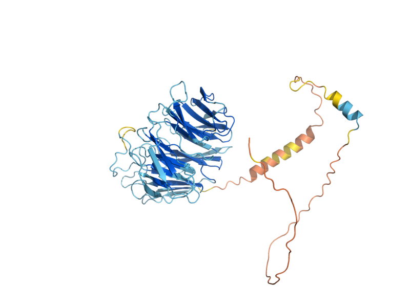 AlphaFold predicted structure of CDC40
