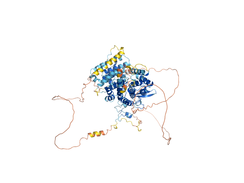 AlphaFold predicted structure of LYS14