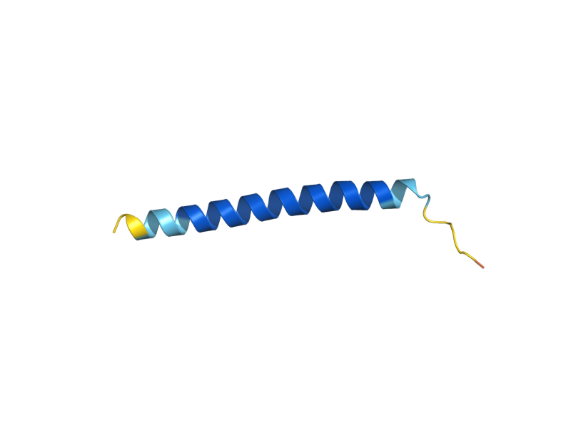 AlphaFold predicted structure of PMP2