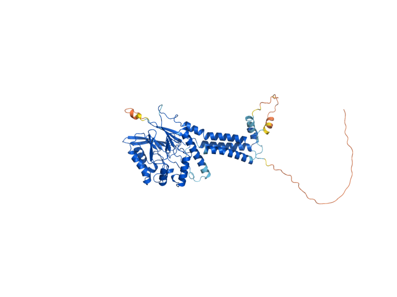 AlphaFold predicted structure of CDC1