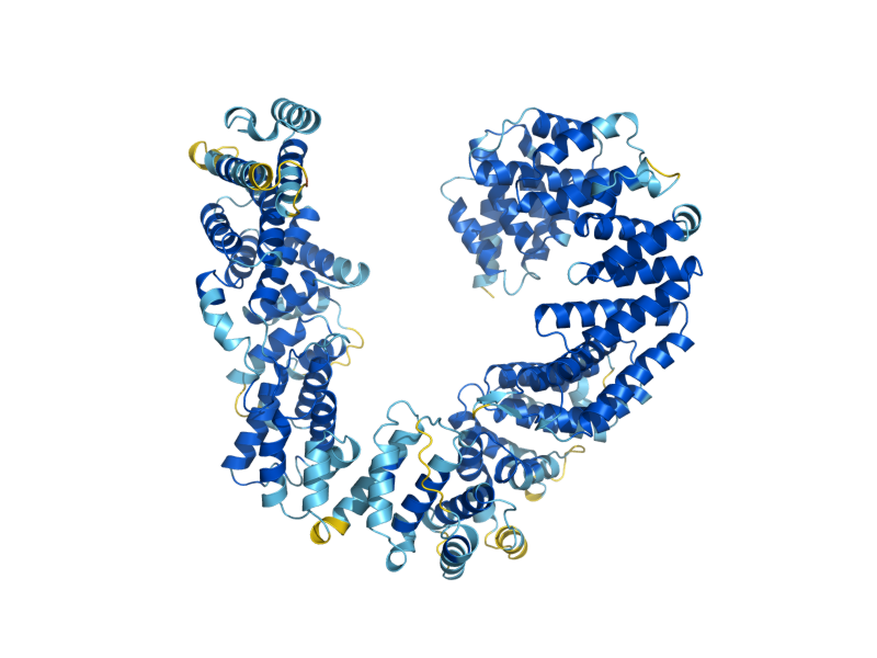 AlphaFold predicted structure of CIN1