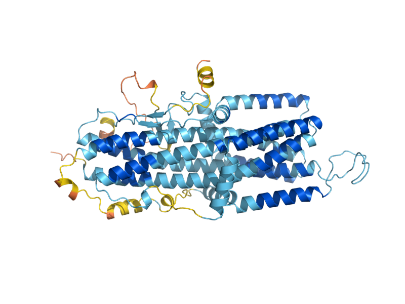 AlphaFold predicted structure of FET4