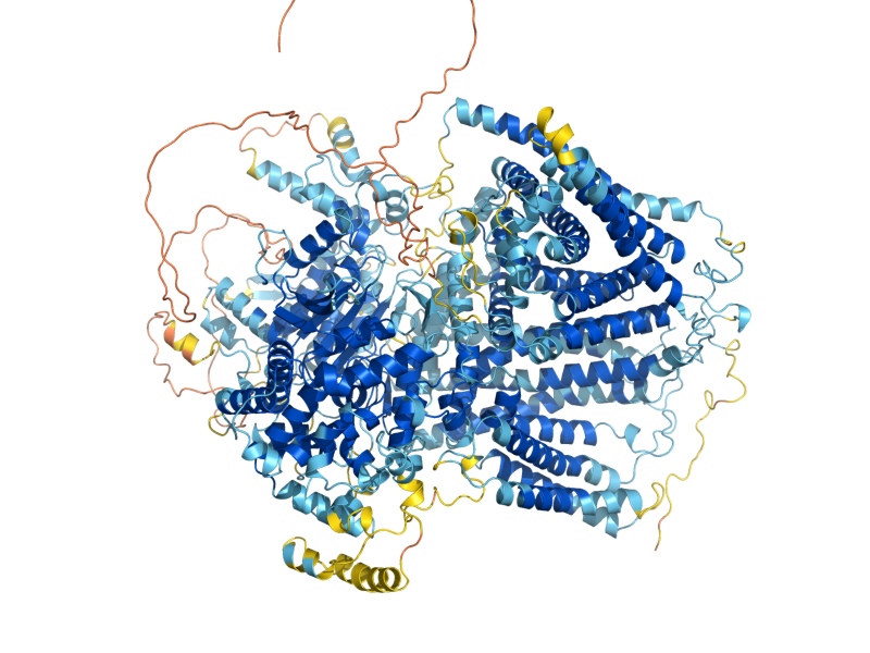 AlphaFold predicted structure of GSC2