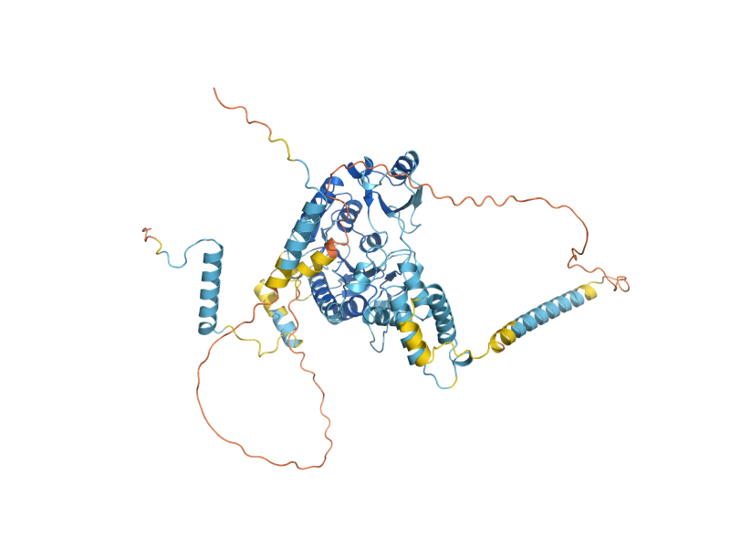 AlphaFold predicted structure of NOP2
