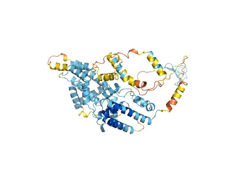 AlphaFold predicted structure of RRN7