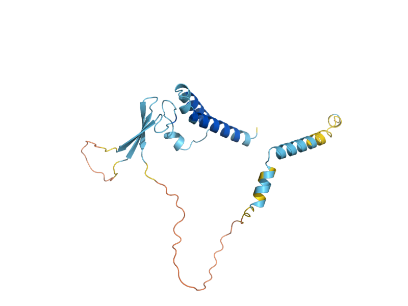 AlphaFold predicted structure of SNM1