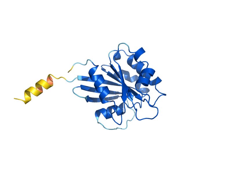 AlphaFold predicted structure of ARF3