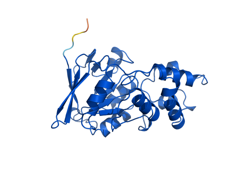 AlphaFold predicted structure of GPP1