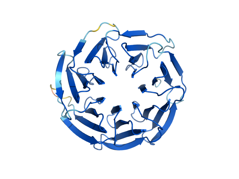 AlphaFold predicted structure of LST8