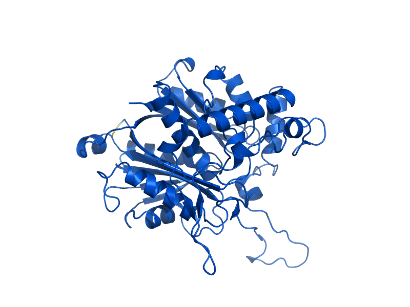 AlphaFold predicted structure of ERG10