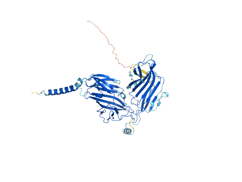 AlphaFold predicted structure of OST1