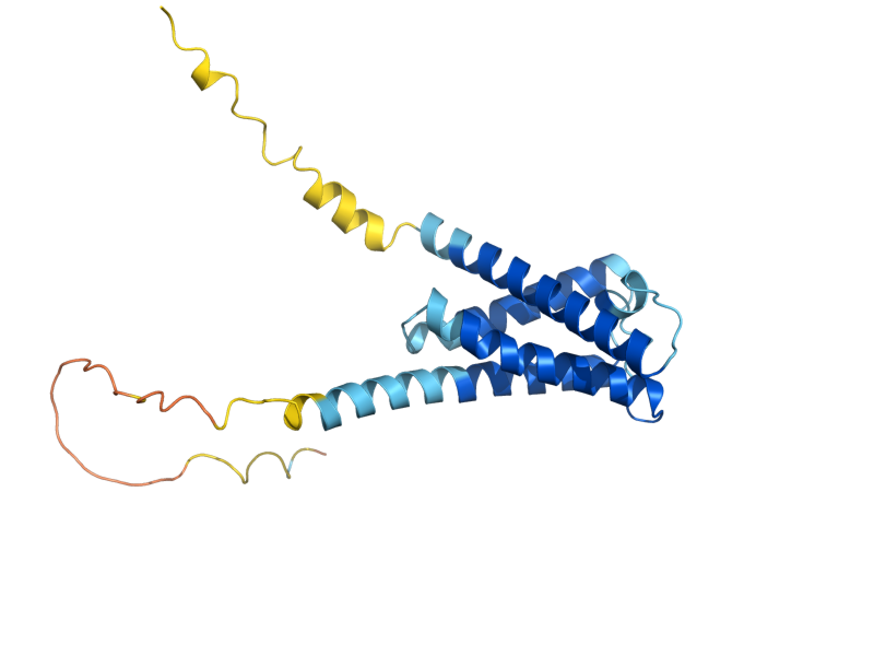 AlphaFold predicted structure of SYS1