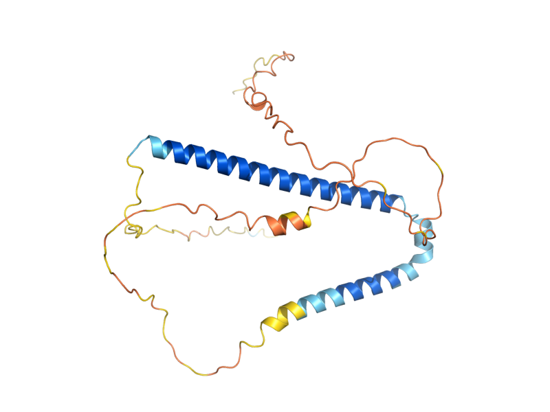 AlphaFold predicted structure of HAC1