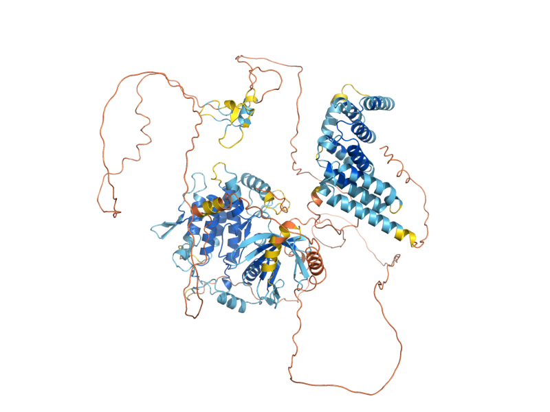 AlphaFold predicted structure of BUB1
