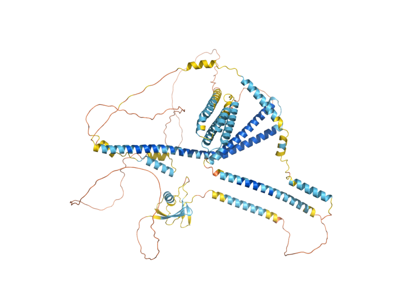 AlphaFold predicted structure of BUD6