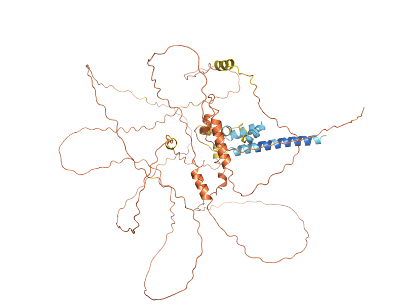 AlphaFold predicted structure of BUD8