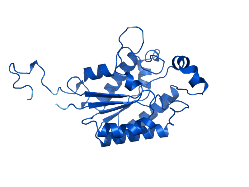 AlphaFold predicted structure of IAH1