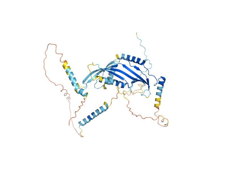 AlphaFold predicted structure of MMM1