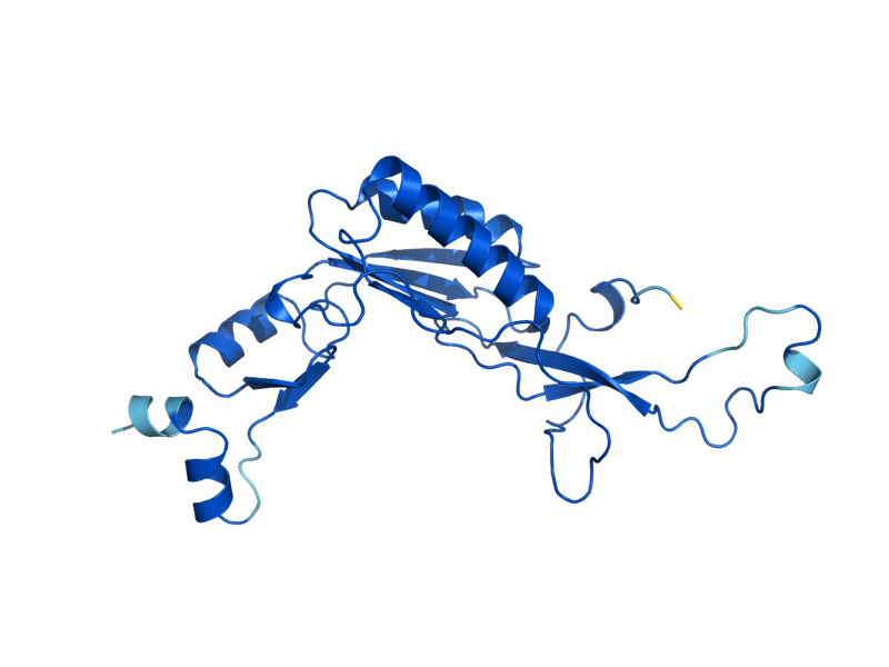 AlphaFold predicted structure of RPL10