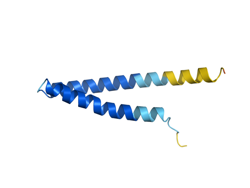 AlphaFold predicted structure of VMA21