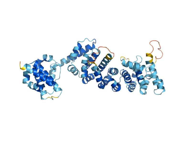 AlphaFold predicted structure of VMA13