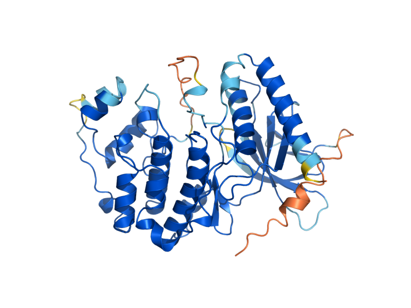 AlphaFold predicted structure of SMK1