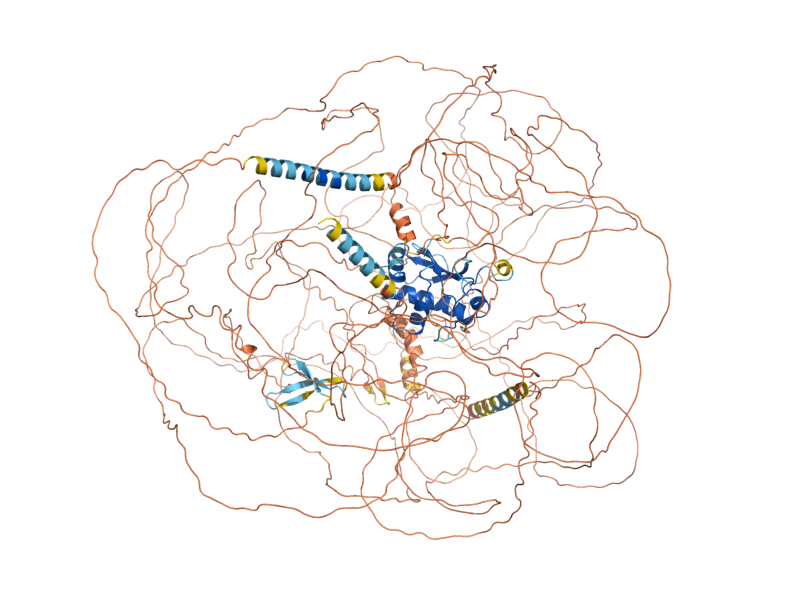 AlphaFold predicted structure of HKR1
