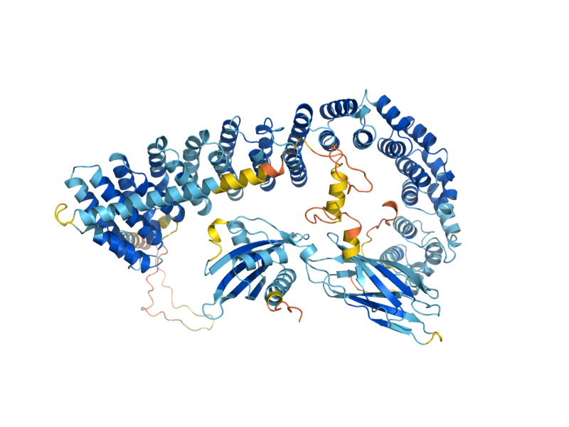 AlphaFold predicted structure of SEC26