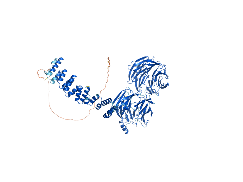 AlphaFold predicted structure of SEC27