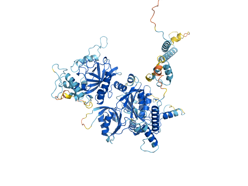 AlphaFold predicted structure of POP1