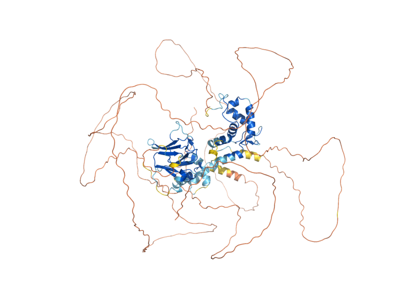 AlphaFold predicted structure of FKH2