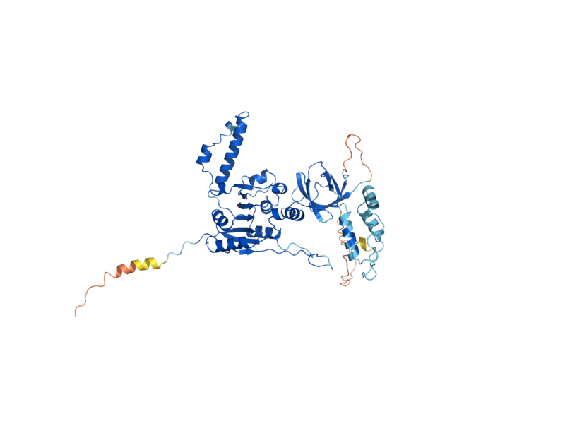 AlphaFold predicted structure of GCD10