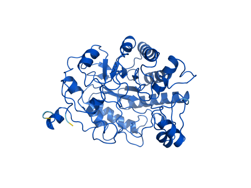 AlphaFold predicted structure of OYE3