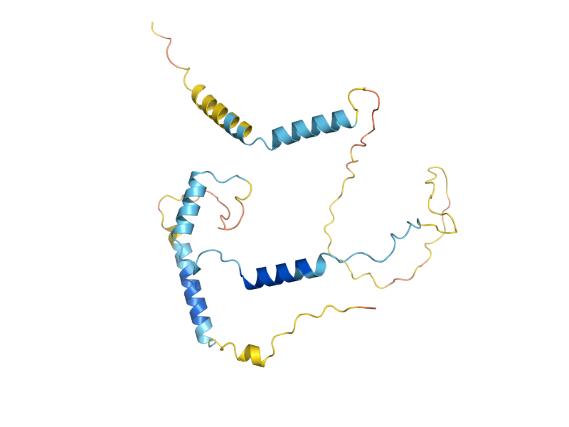 AlphaFold predicted structure of GLC8