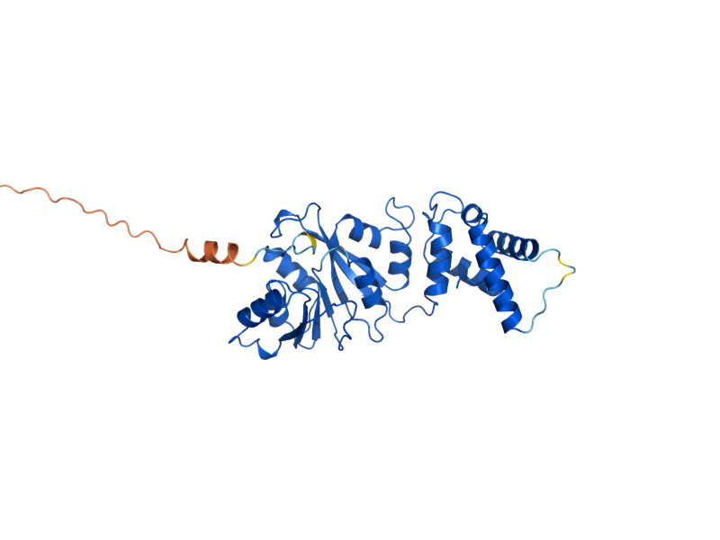 AlphaFold predicted structure of DIM1