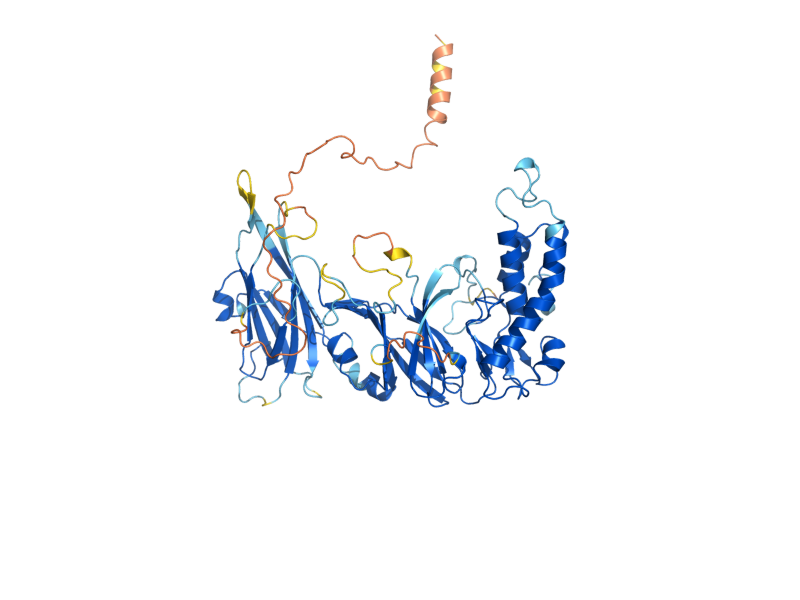 AlphaFold predicted structure of MID1
