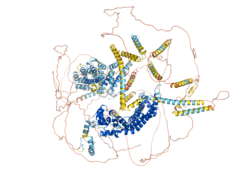 AlphaFold predicted structure of BNI1