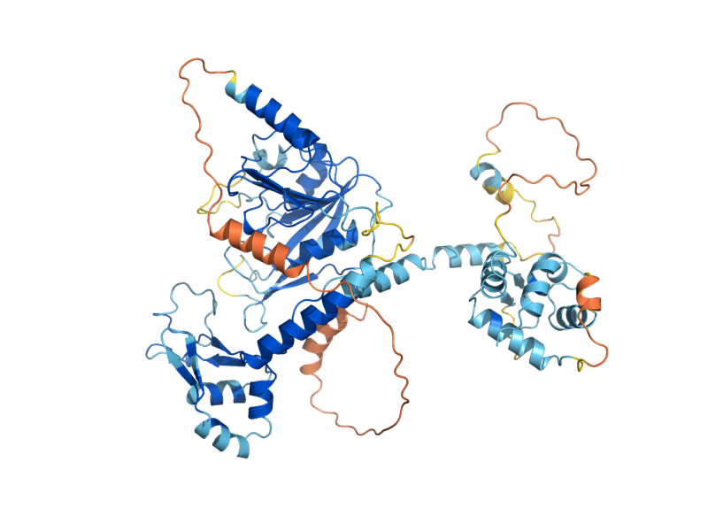 AlphaFold predicted structure of IME4