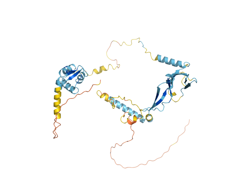 AlphaFold predicted structure of TFG2